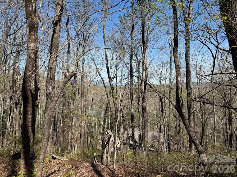 TBD White Oak Terrace #9 Brevard, NC 28712