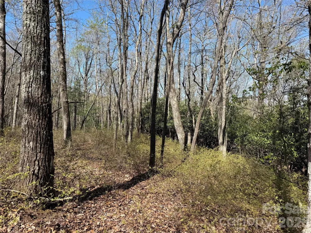 TBD White Oak Terrace #9 Brevard, NC 28712