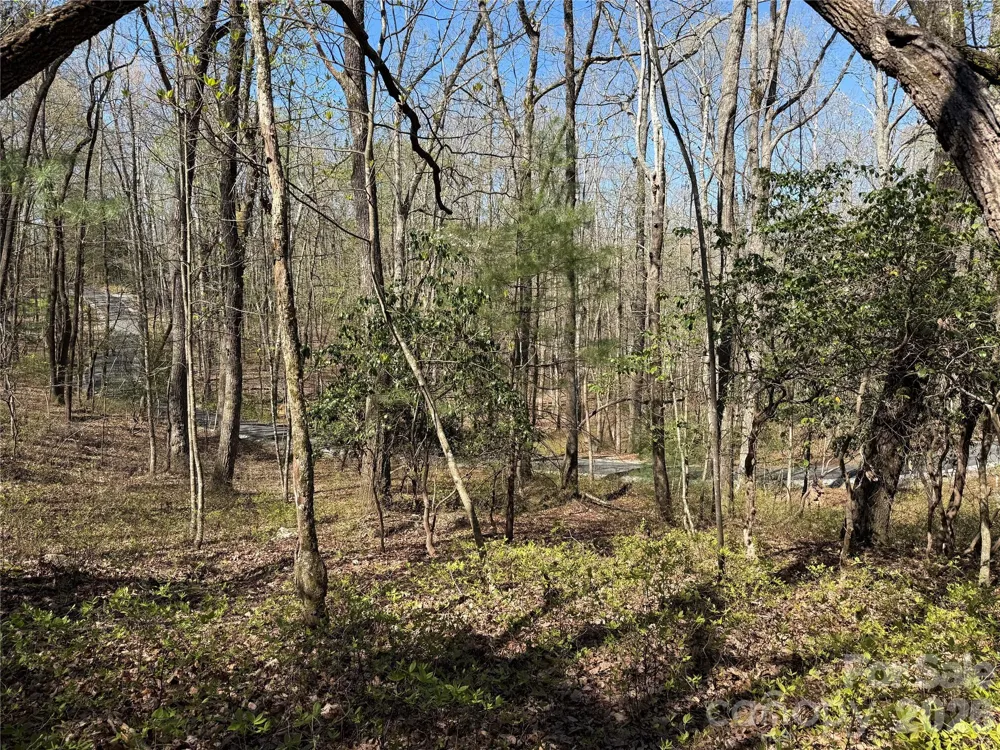 TBD White Oak Terrace #9 Brevard, NC 28712