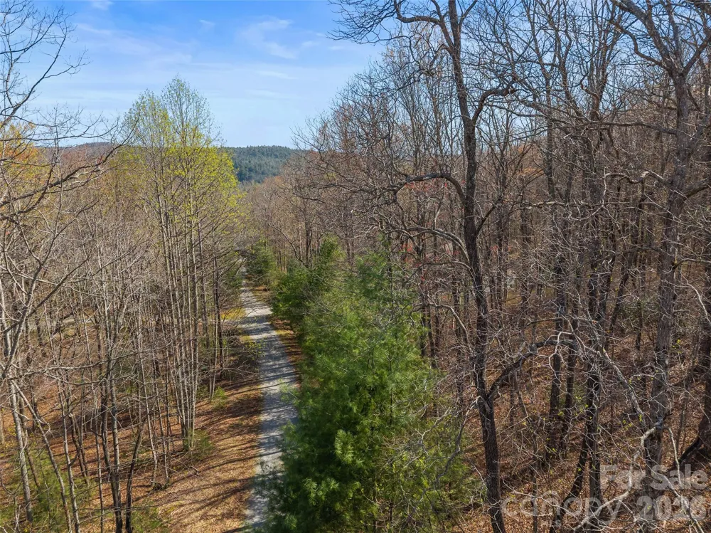 TBD White Oak Terrace #9 Brevard, NC 28712