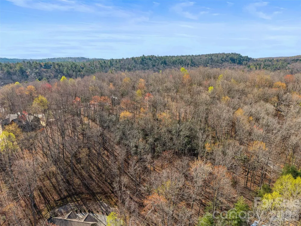 TBD White Oak Terrace #9 Brevard, NC 28712
