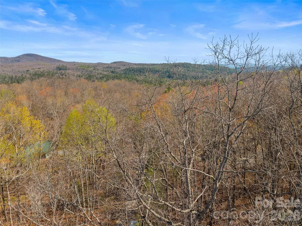 TBD White Oak Terrace #9 Brevard, NC 28712