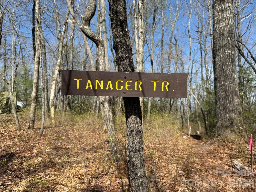TBD White Oak Terrace #9 Brevard, NC 28712