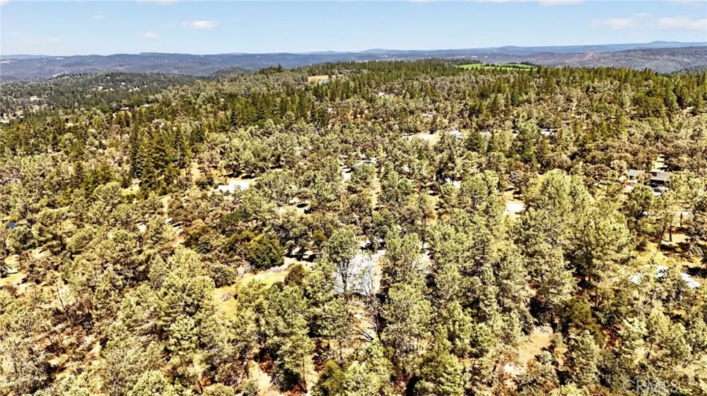 5040 Cougar Lane Georgetown, CA 95634