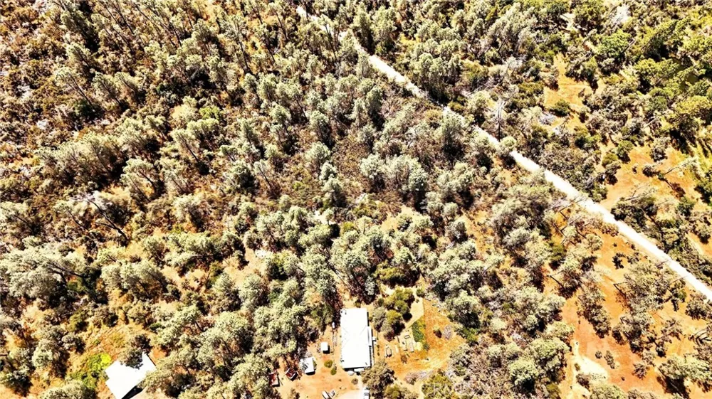 5040 Cougar Lane Georgetown, CA 95634