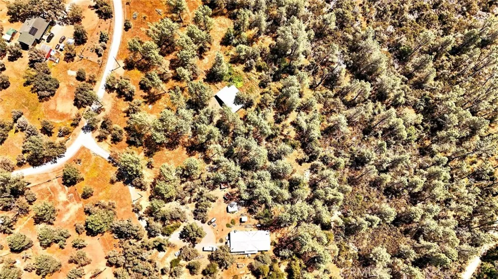 5040 Cougar Lane Georgetown, CA 95634