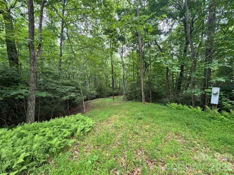 000 Chestnut Oak Lane