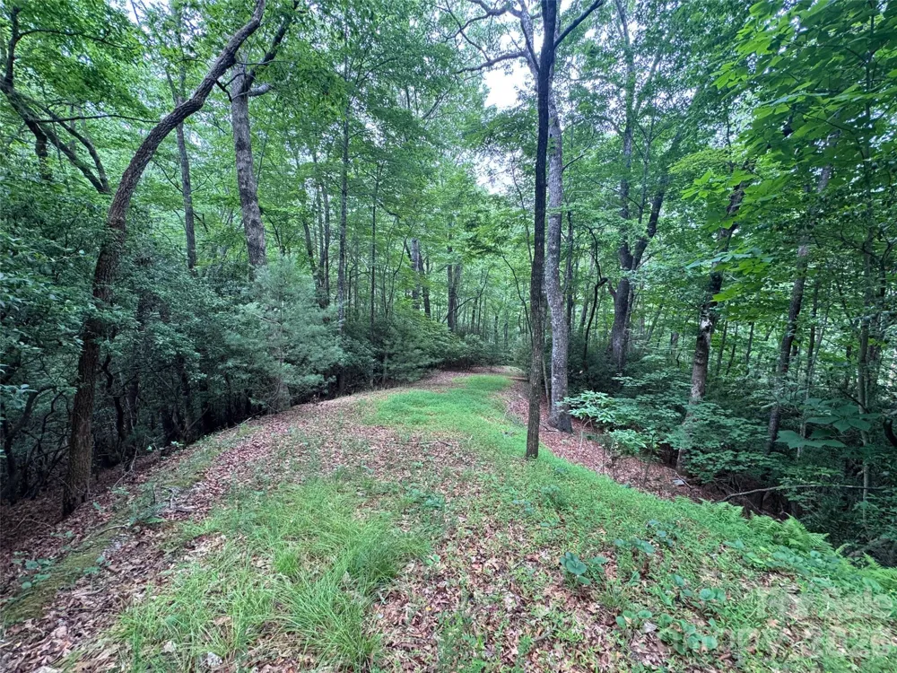 000 Chestnut Oak Lane Pisgah Forest, NC 28768