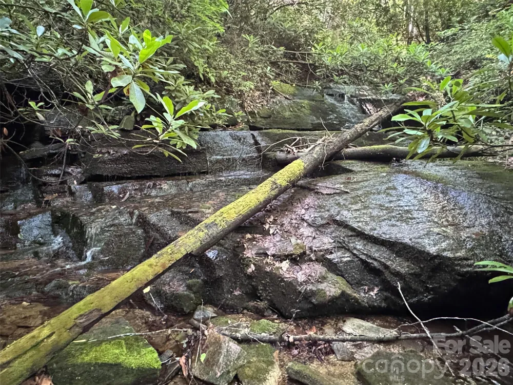 000 Chestnut Oak Lane Pisgah Forest, NC 28768