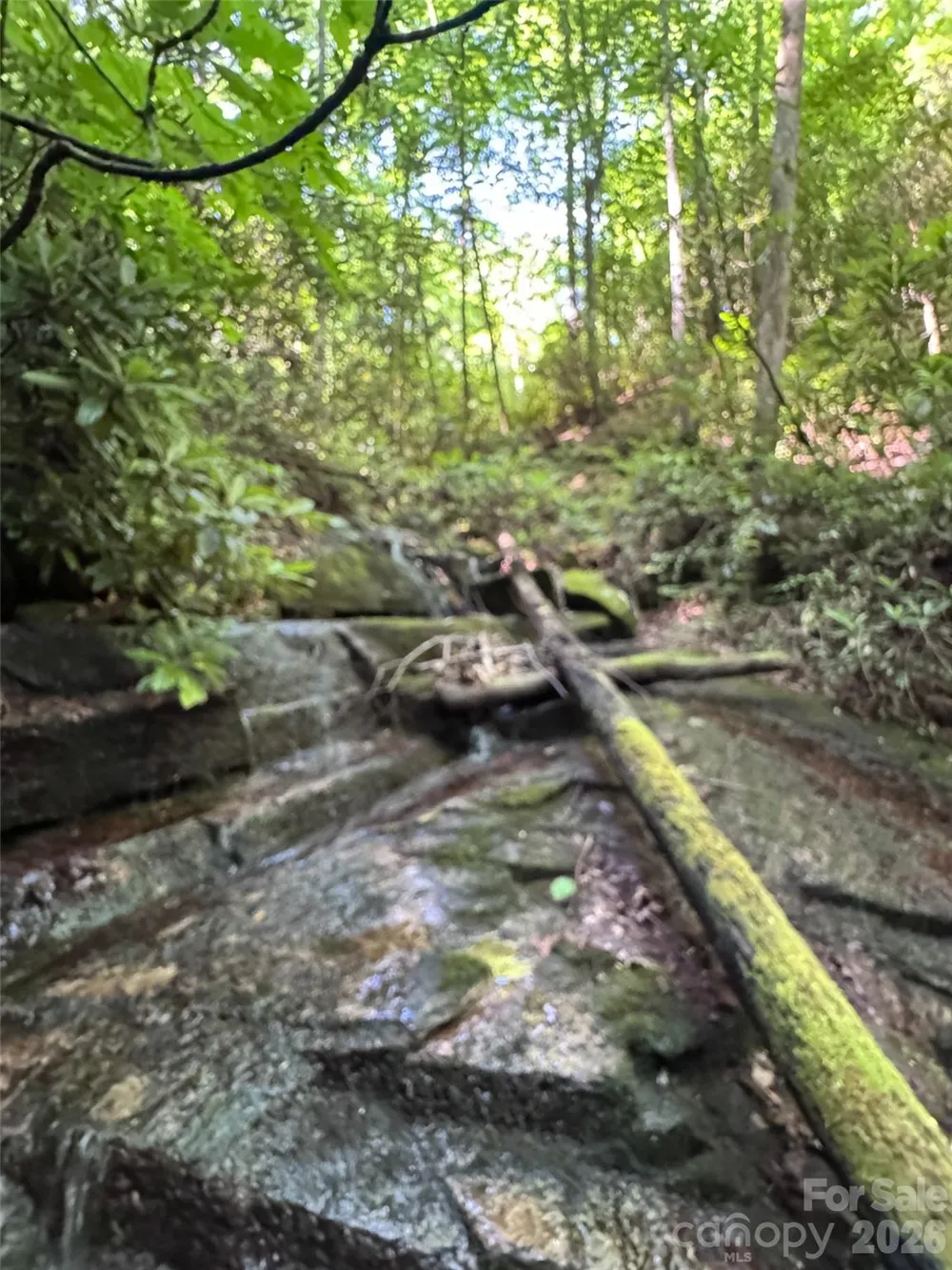 000 Chestnut Oak Lane Pisgah Forest, NC 28768