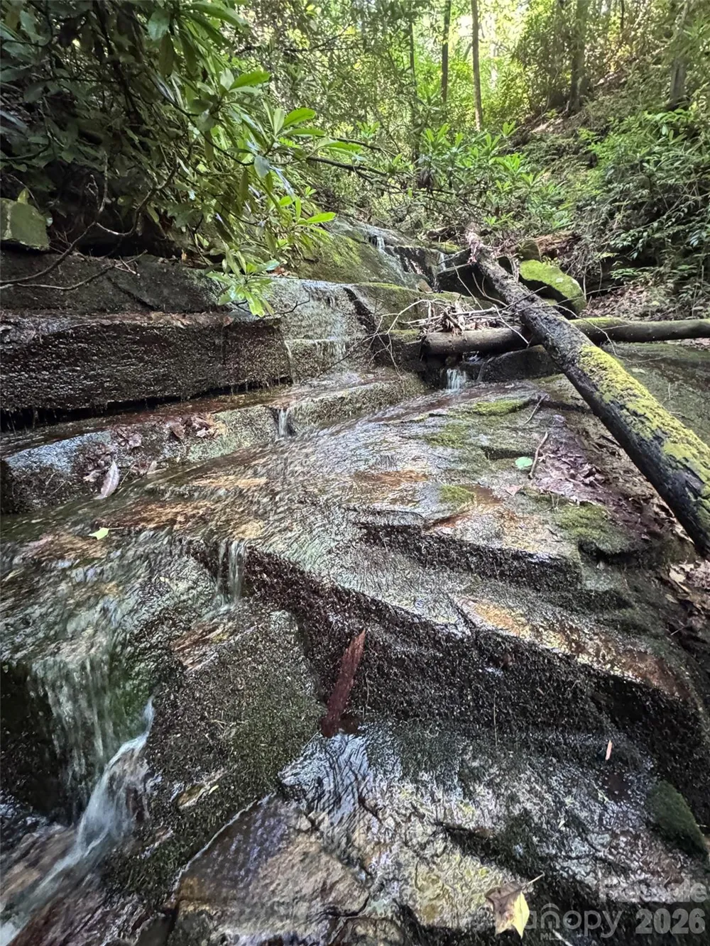 000 Chestnut Oak Lane Pisgah Forest, NC 28768
