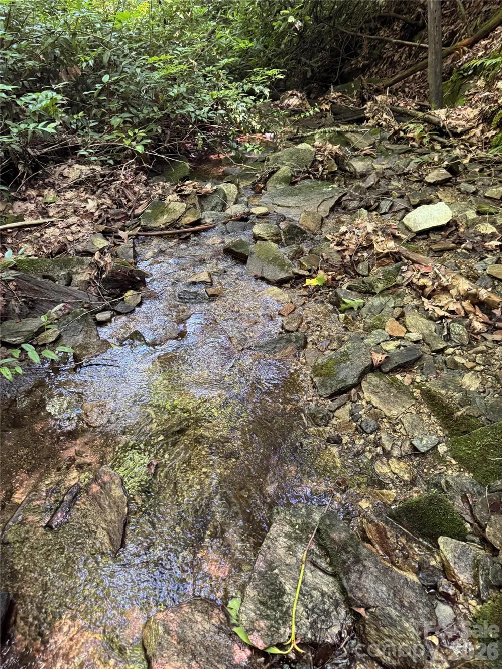 000 Chestnut Oak Lane Pisgah Forest, NC 28768