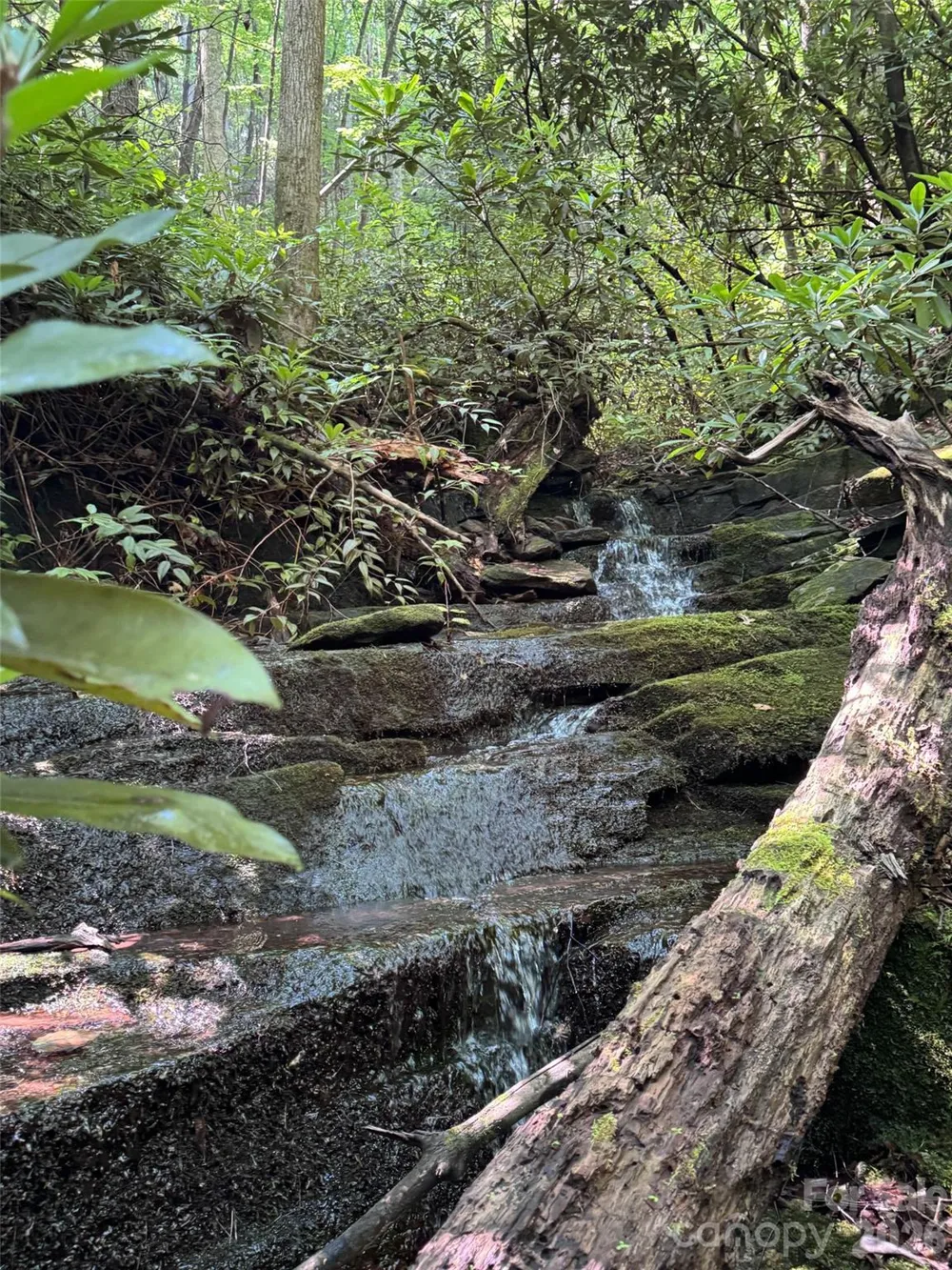000 Chestnut Oak Lane Pisgah Forest, NC 28768