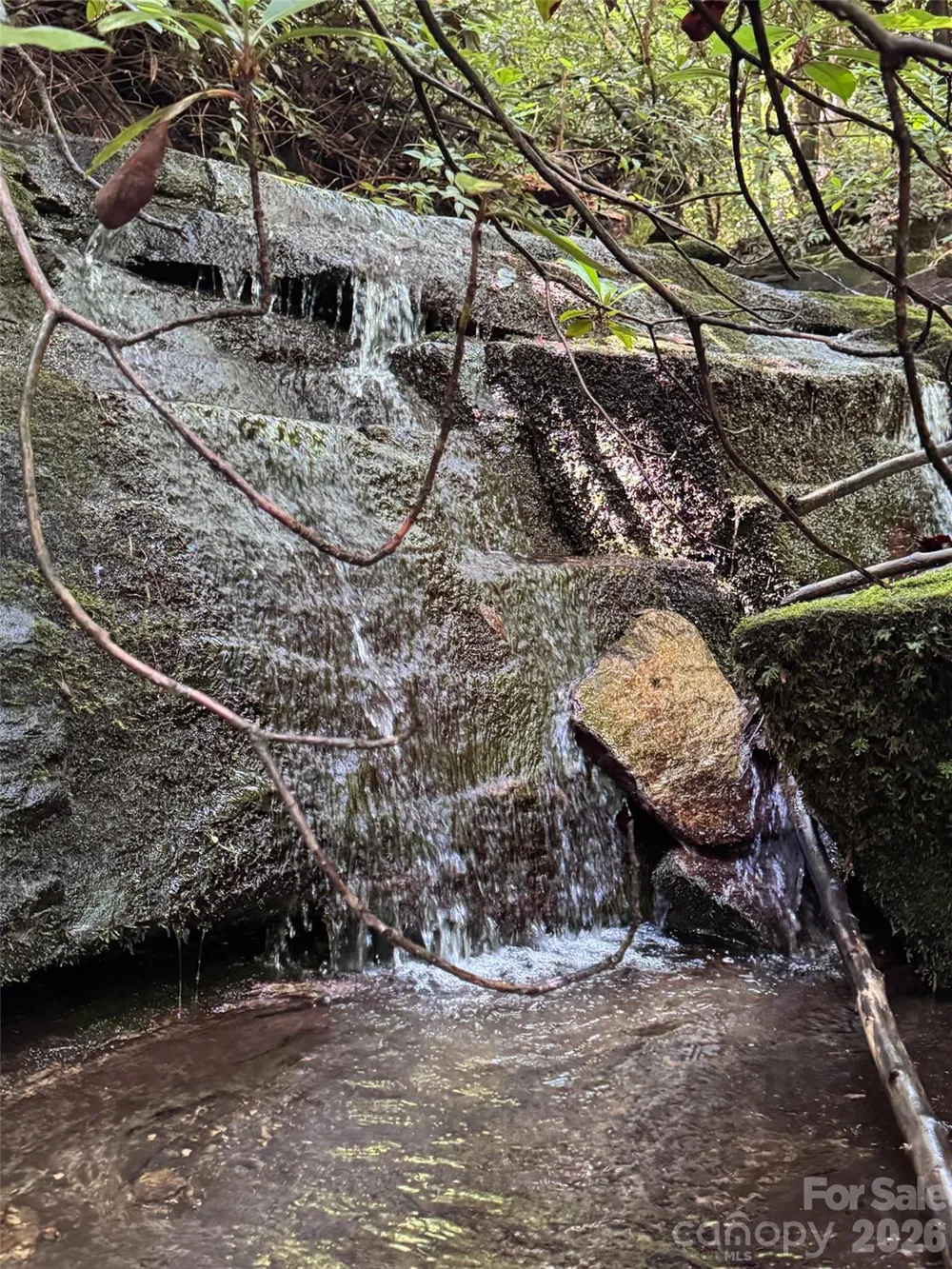 000 Chestnut Oak Lane Pisgah Forest, NC 28768