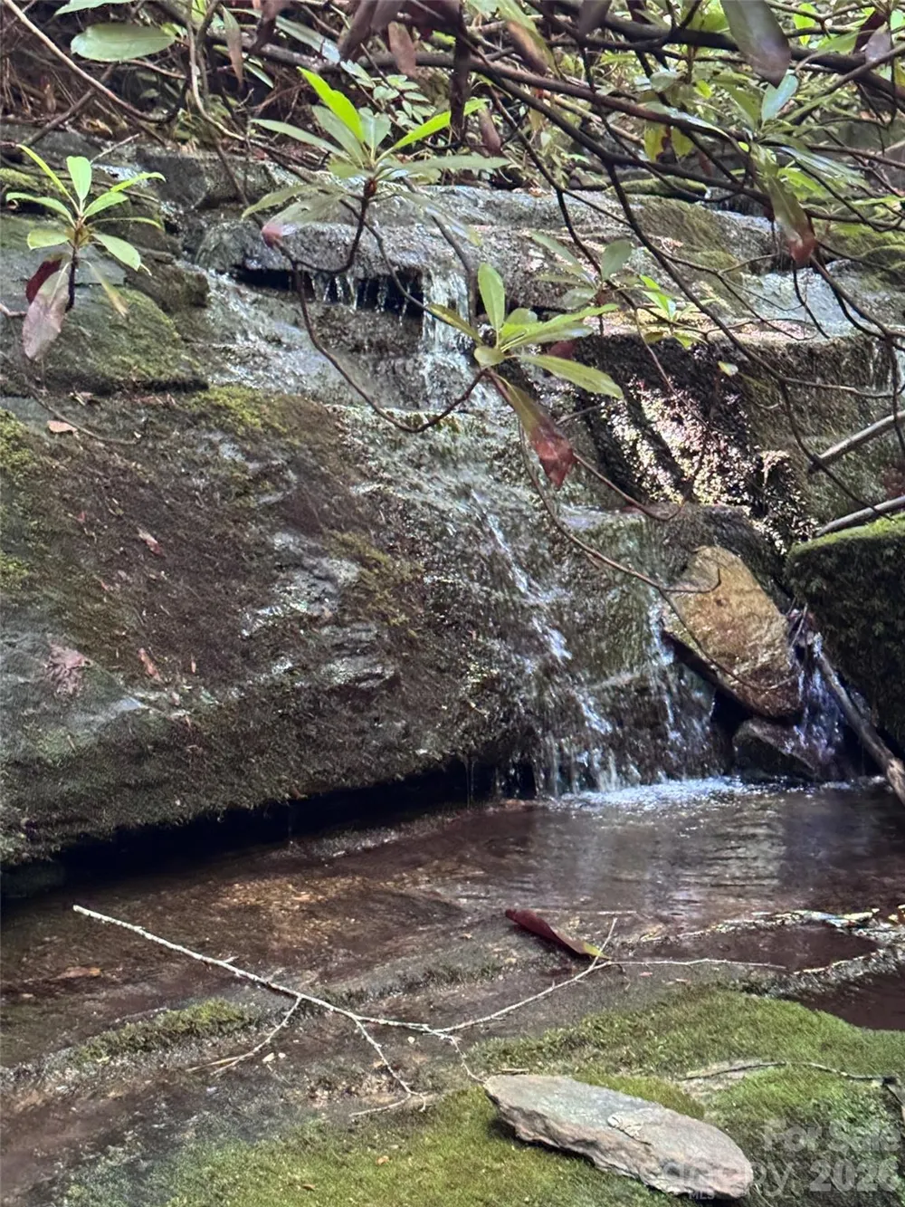 000 Chestnut Oak Lane Pisgah Forest, NC 28768