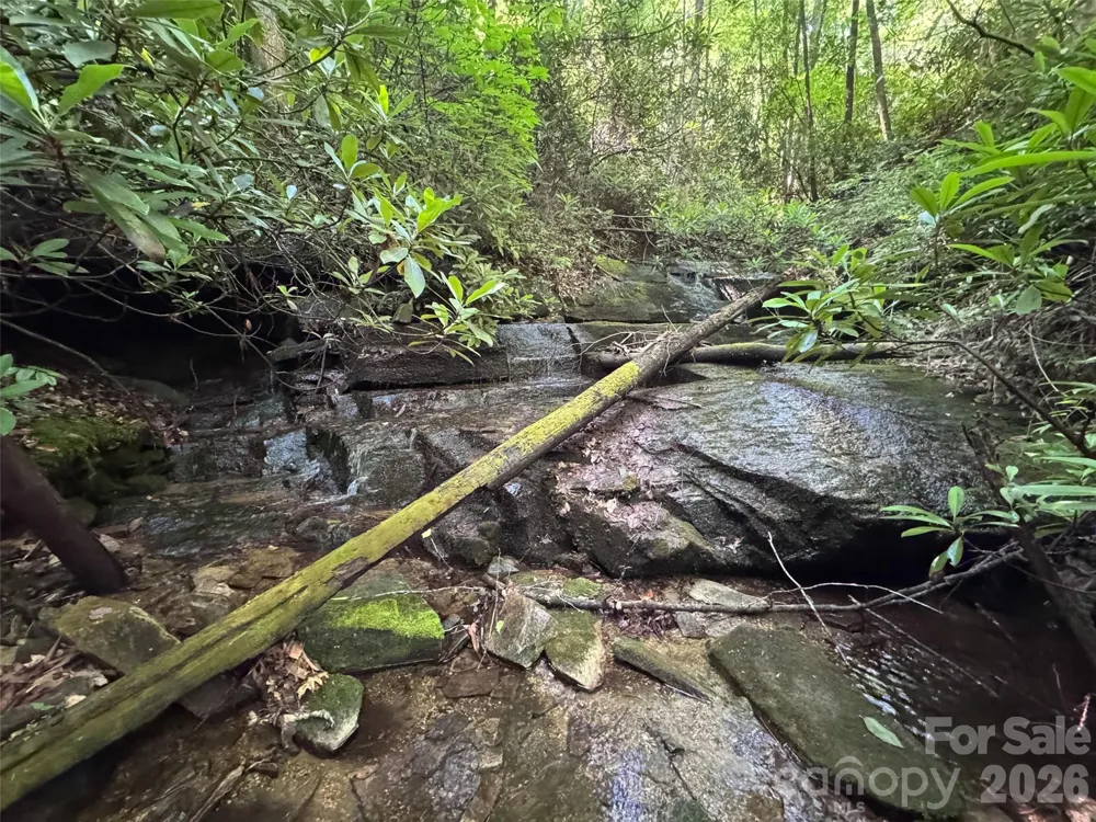 000 Chestnut Oak Lane Pisgah Forest, NC 28768