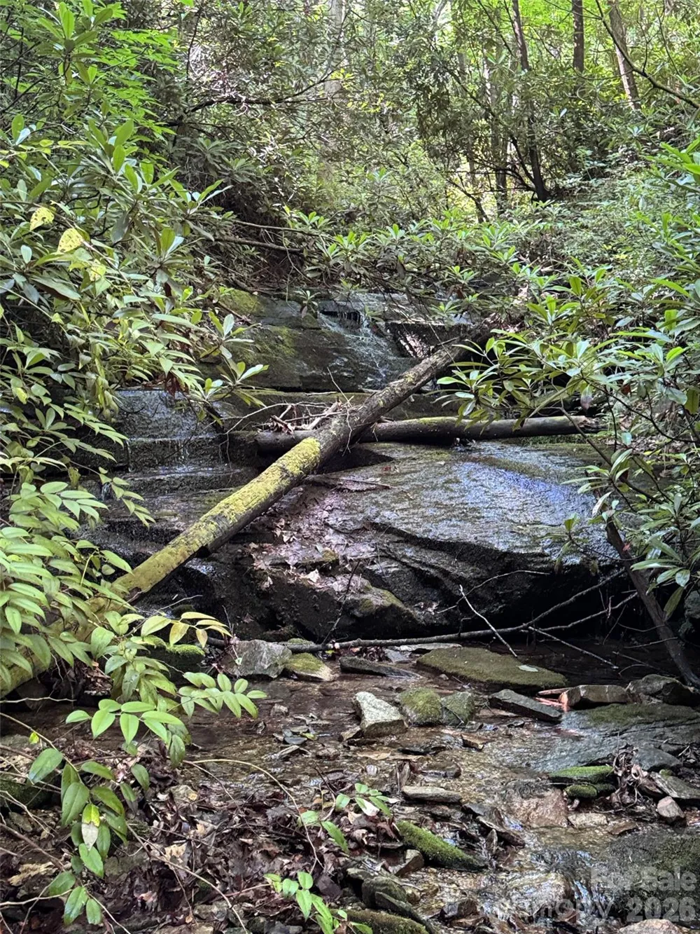 000 Chestnut Oak Lane Pisgah Forest, NC 28768