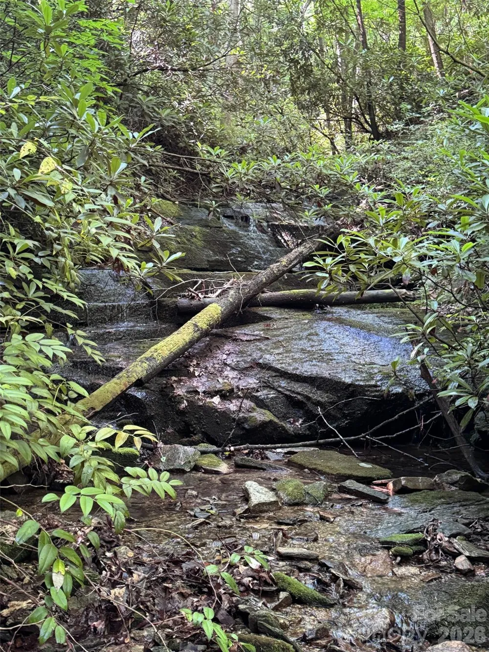 000 Chestnut Oak Lane Pisgah Forest, NC 28768