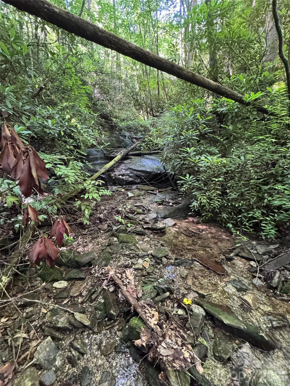 000 Chestnut Oak Lane Pisgah Forest, NC 28768