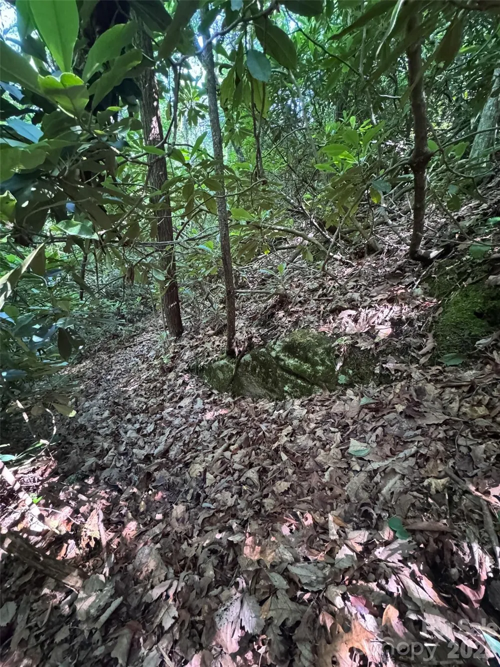 000 Chestnut Oak Lane Pisgah Forest, NC 28768