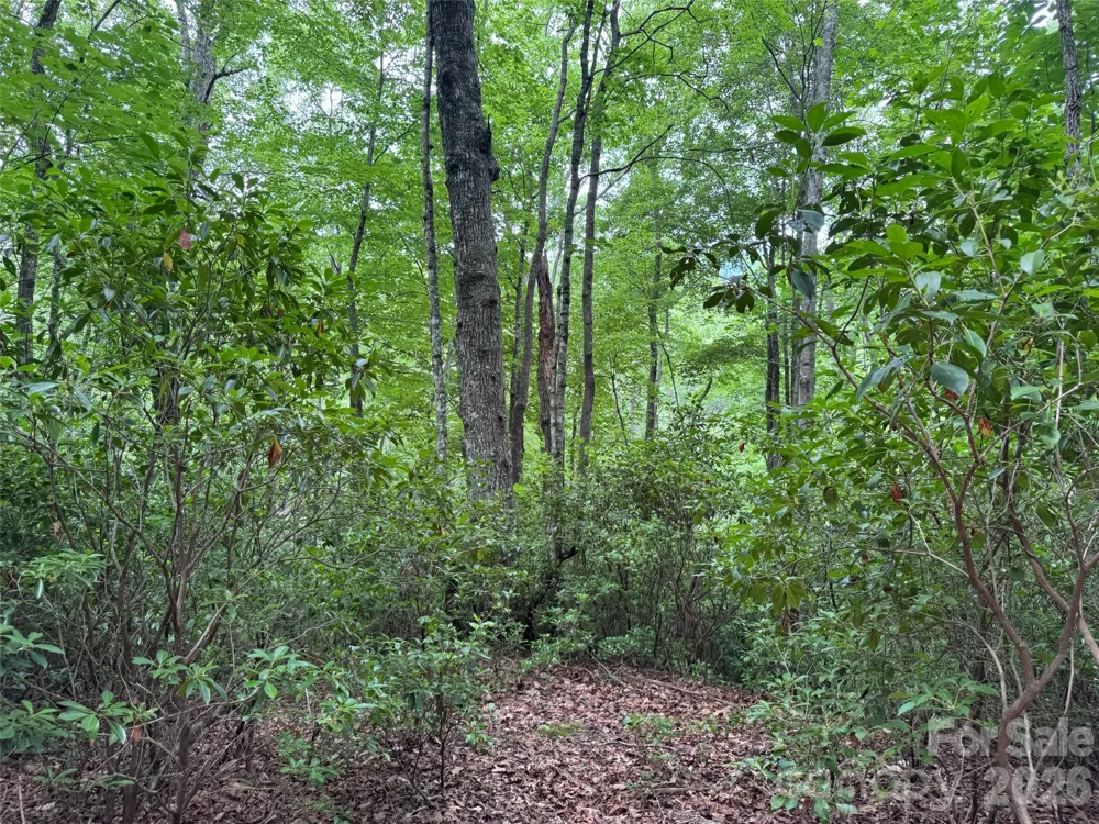 000 Chestnut Oak Lane Pisgah Forest, NC 28768