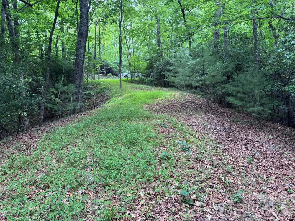000 Chestnut Oak Lane Pisgah Forest, NC 28768