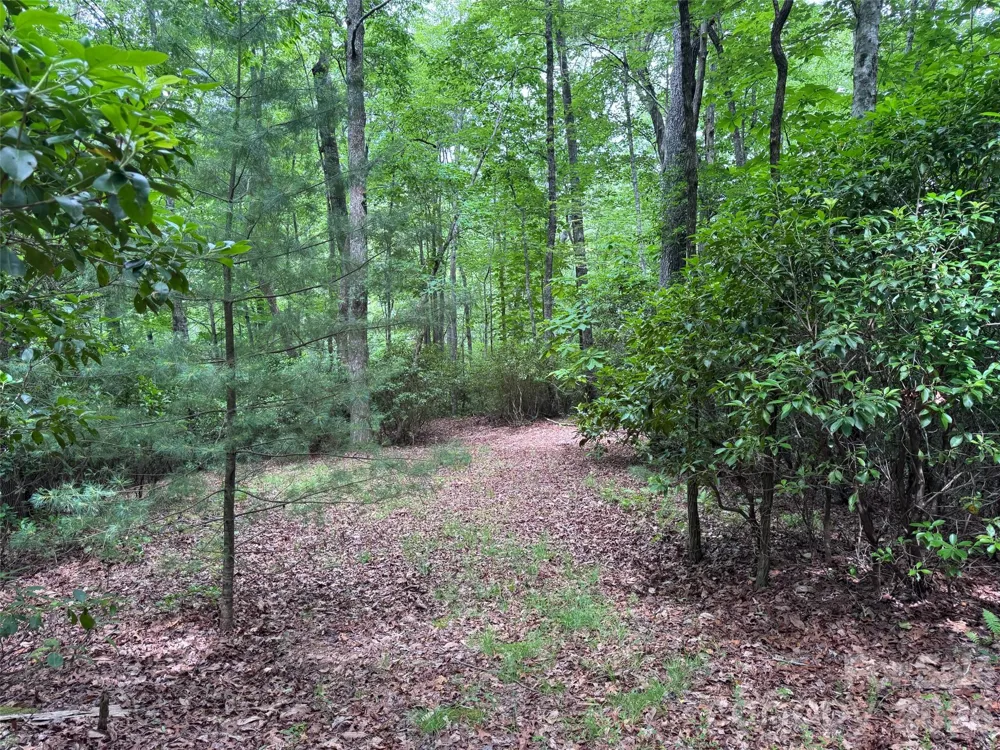 000 Chestnut Oak Lane Pisgah Forest, NC 28768