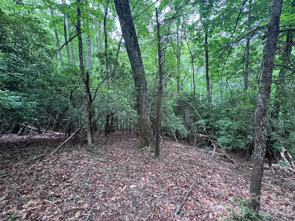 000 Chestnut Oak Lane Pisgah Forest, NC 28768