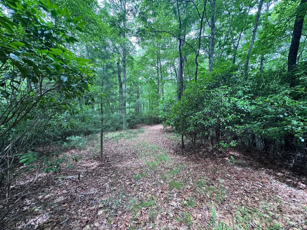 000 Chestnut Oak Lane Pisgah Forest, NC 28768