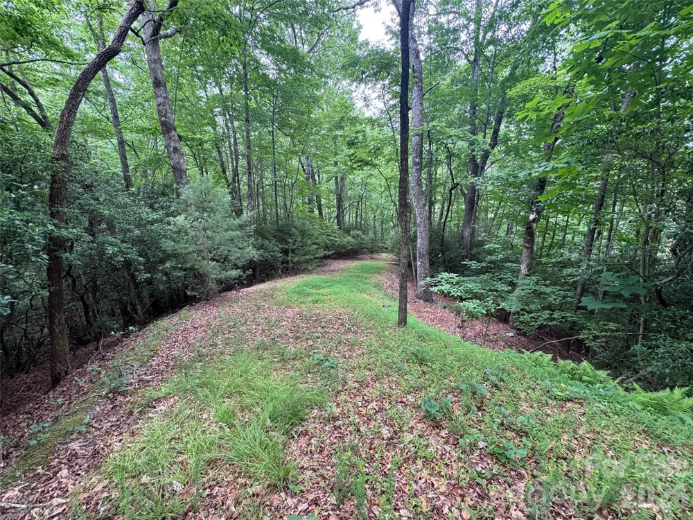 000 Chestnut Oak Lane Pisgah Forest, NC 28768