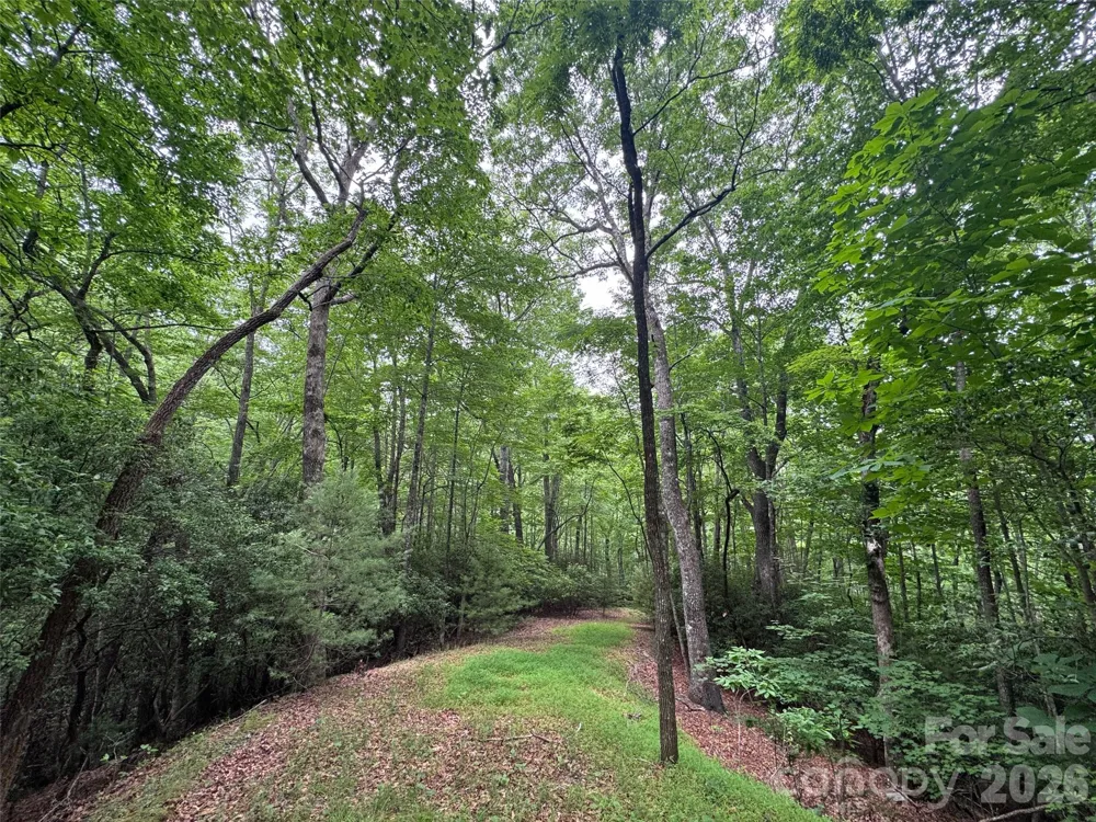 000 Chestnut Oak Lane Pisgah Forest, NC 28768
