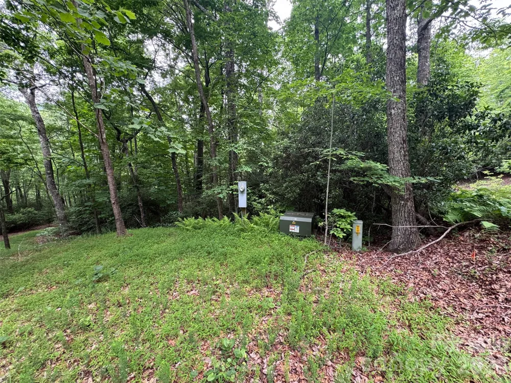 000 Chestnut Oak Lane Pisgah Forest, NC 28768