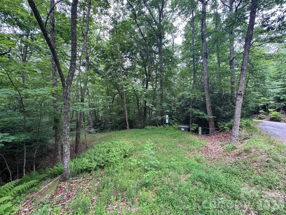 000 Chestnut Oak Lane Pisgah Forest, NC 28768