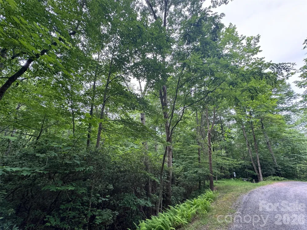 000 Chestnut Oak Lane Pisgah Forest, NC 28768