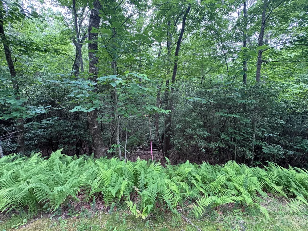 000 Chestnut Oak Lane Pisgah Forest, NC 28768