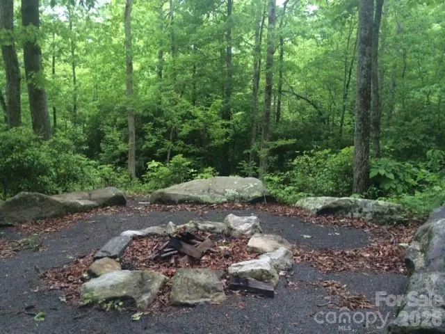 000 Chestnut Oak Lane Pisgah Forest, NC 28768