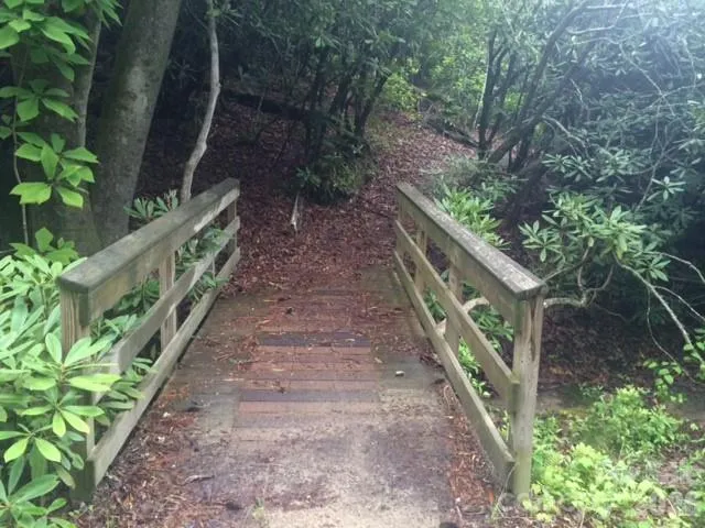 000 Chestnut Oak Lane Pisgah Forest, NC 28768