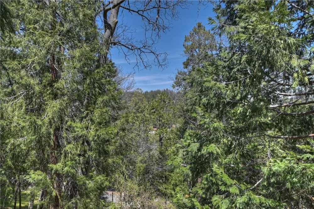 24032 Alpine Drive Crestline, CA 92325