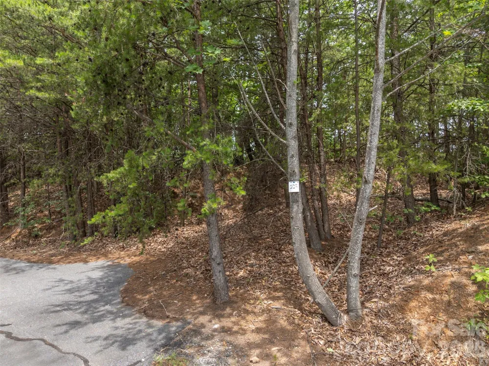228 Brighton Drive Bostic, NC 28018