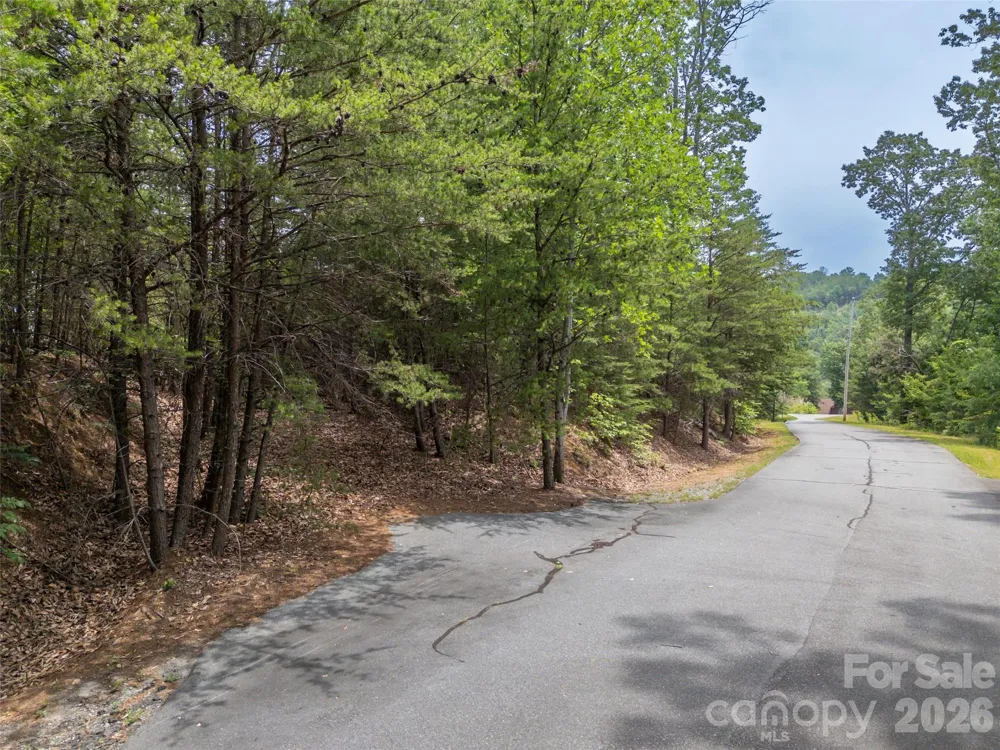 228 Brighton Drive Bostic, NC 28018
