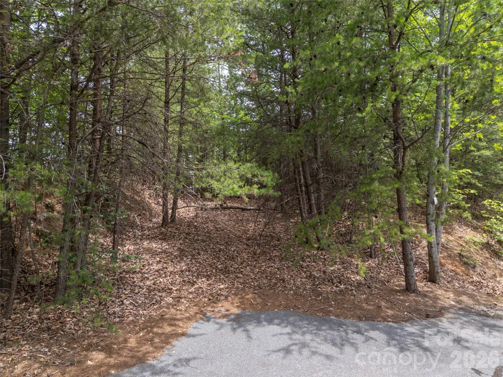 228 Brighton Drive Bostic, NC 28018