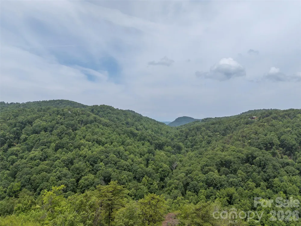 228 Brighton Drive Bostic, NC 28018