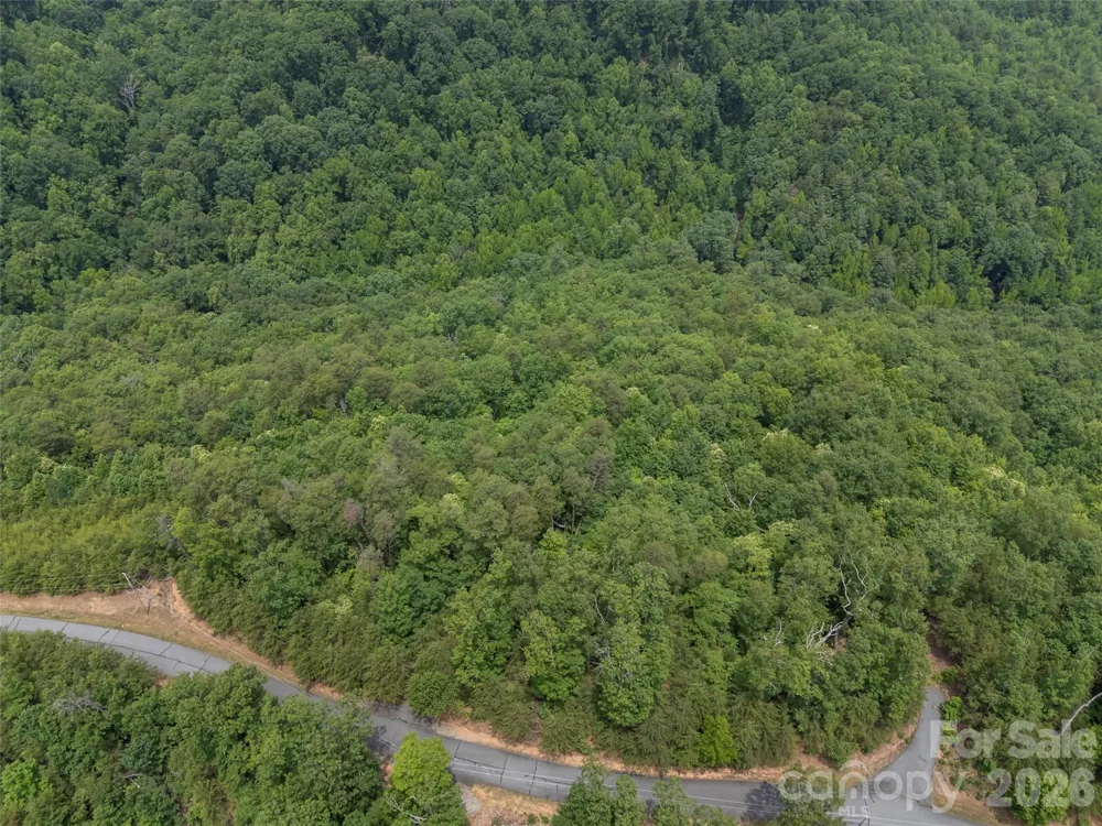 228 Brighton Drive Bostic, NC 28018
