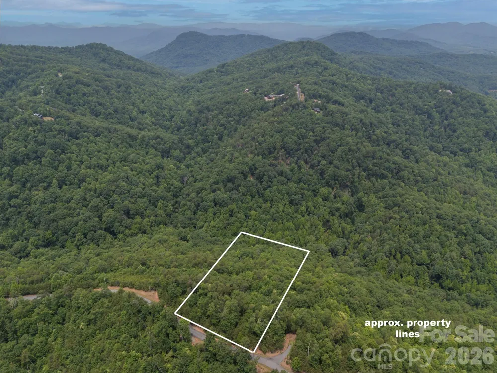 228 Brighton Drive Bostic, NC 28018