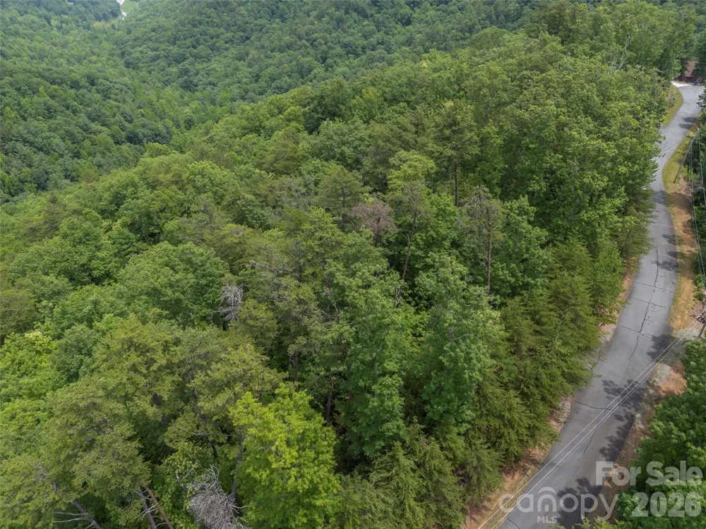 228 Brighton Drive Bostic, NC 28018