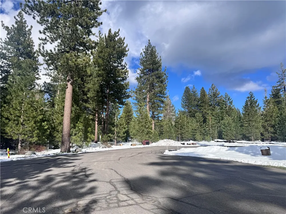 11784 Rhineland Truckee, CA 96161