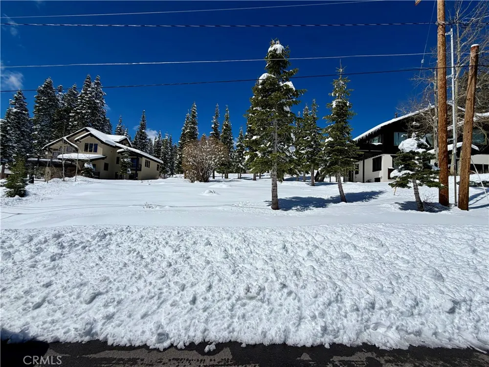 11784 Rhineland Truckee, CA 96161