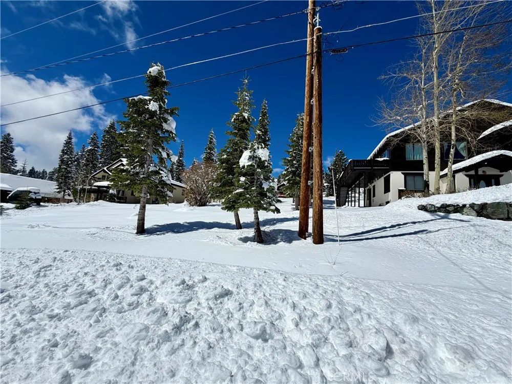 11784 Rhineland Truckee, CA 96161