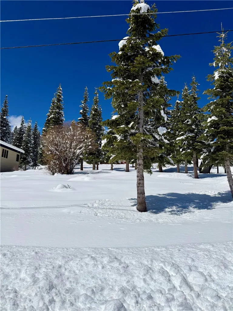 11784 Rhineland Truckee, CA 96161