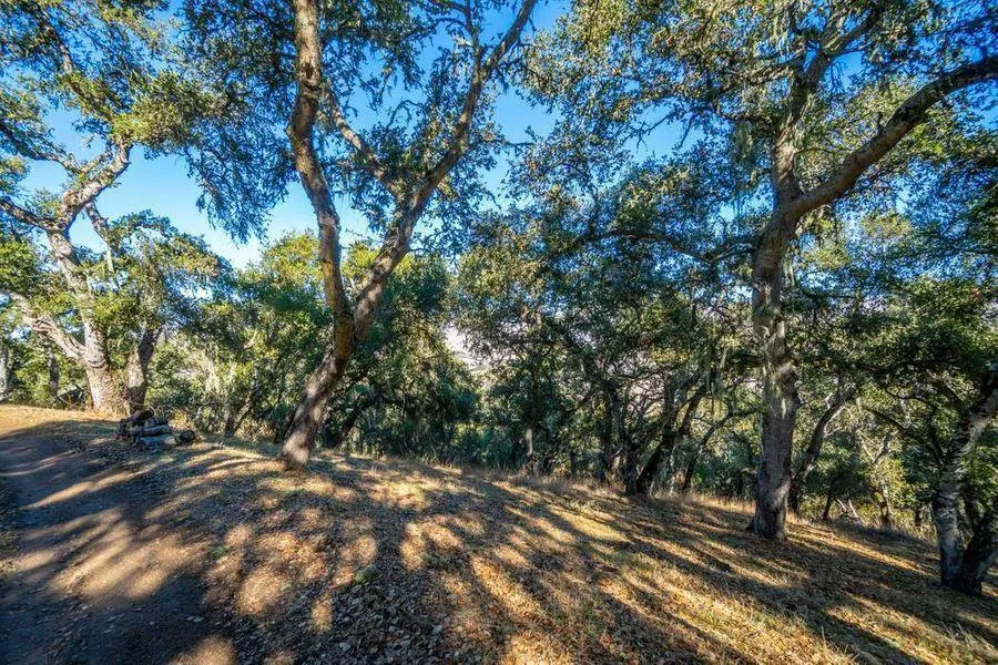 17114 Cachagua Road Carmel Valley, CA 93924
